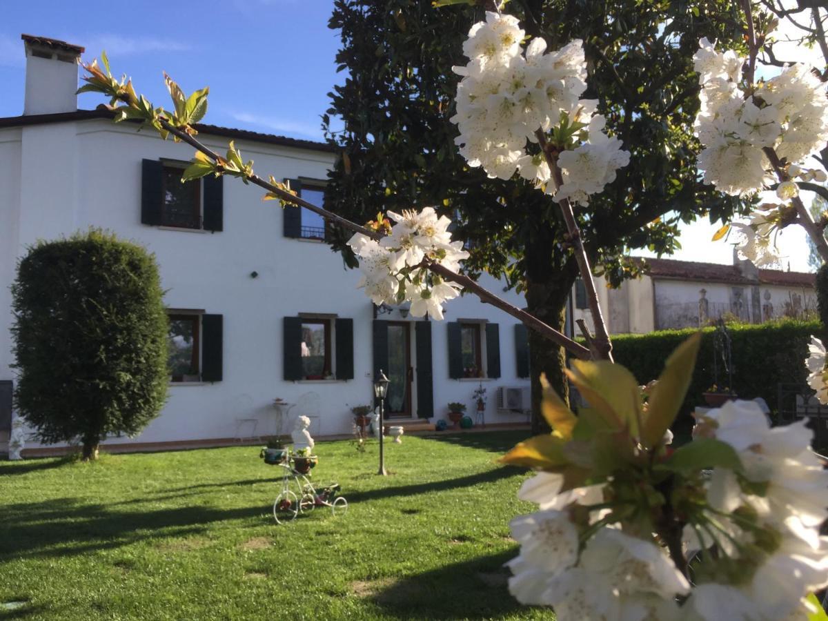 Dimora Naviglio Bed & Breakfast Dolo Eksteriør bilde